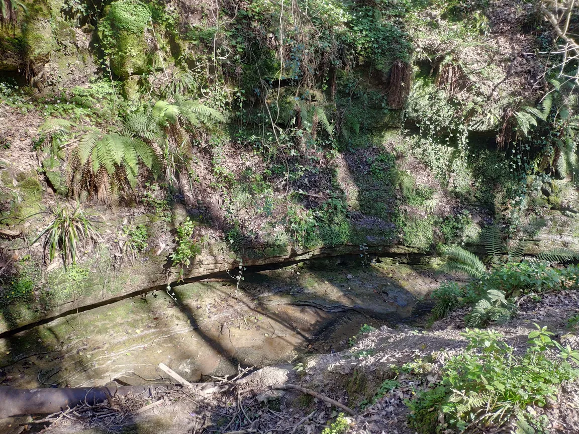 Old Roar Gill