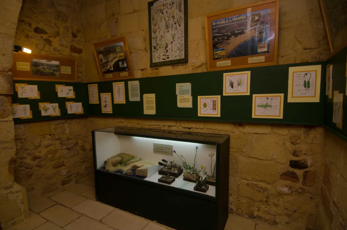 Natural Science Museum