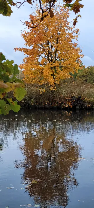 Aussichtspunkt Spreeblick