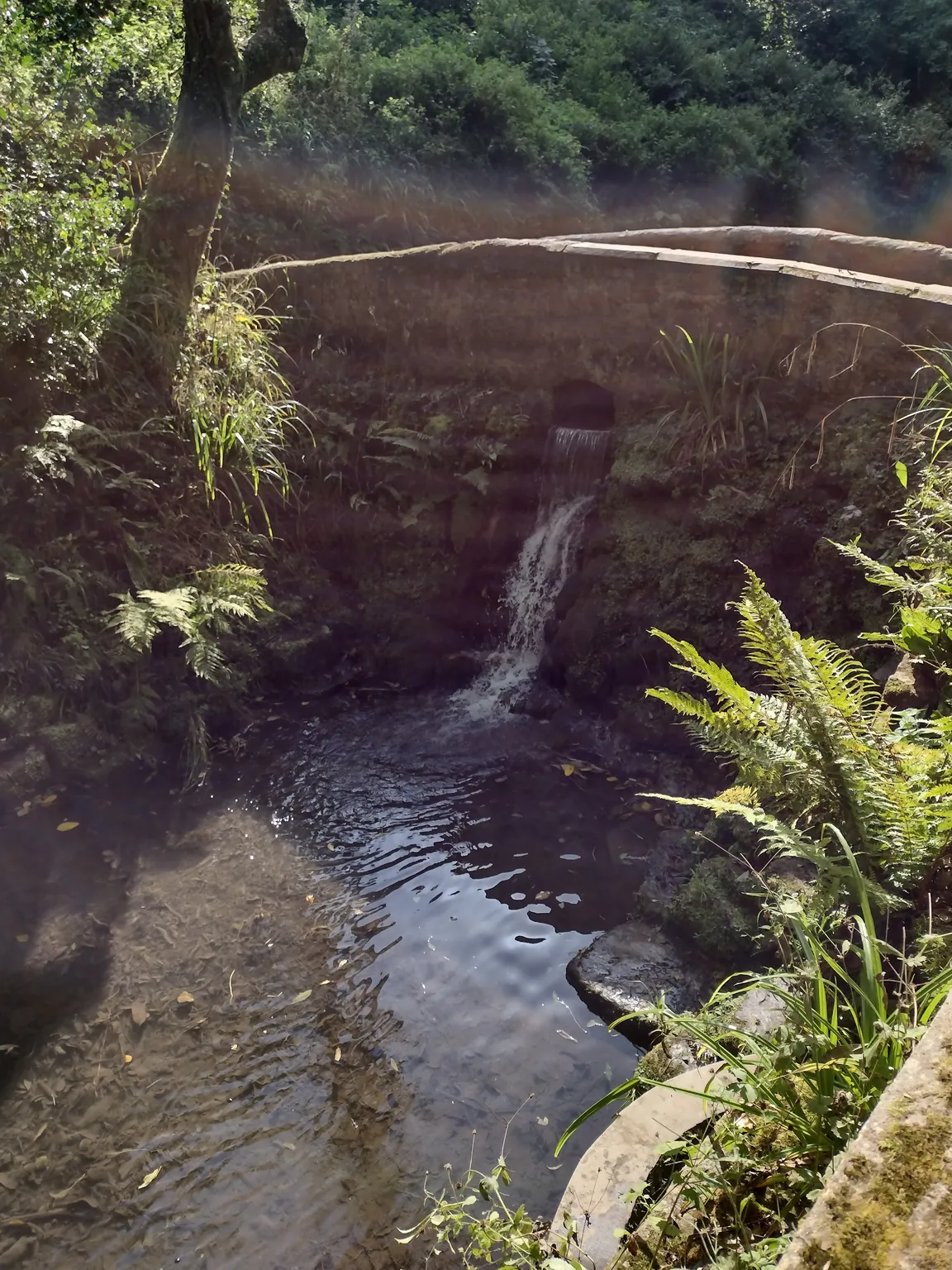 Yeovil Country Park