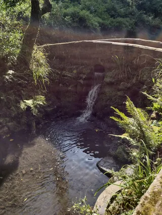 Yeovil Country Park