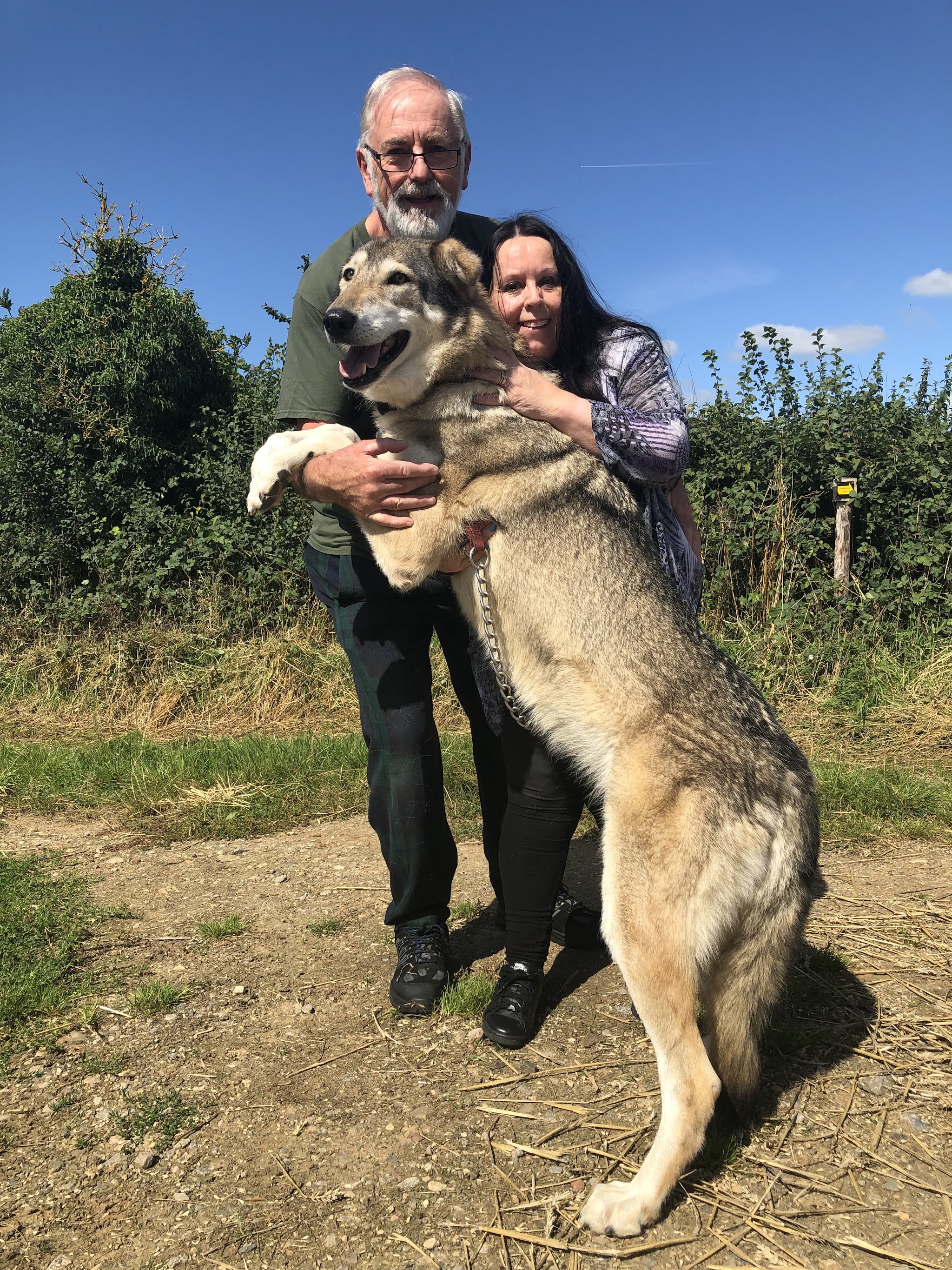 The Little Zoo - Wolf Experiences - by appointment... | Hopsa