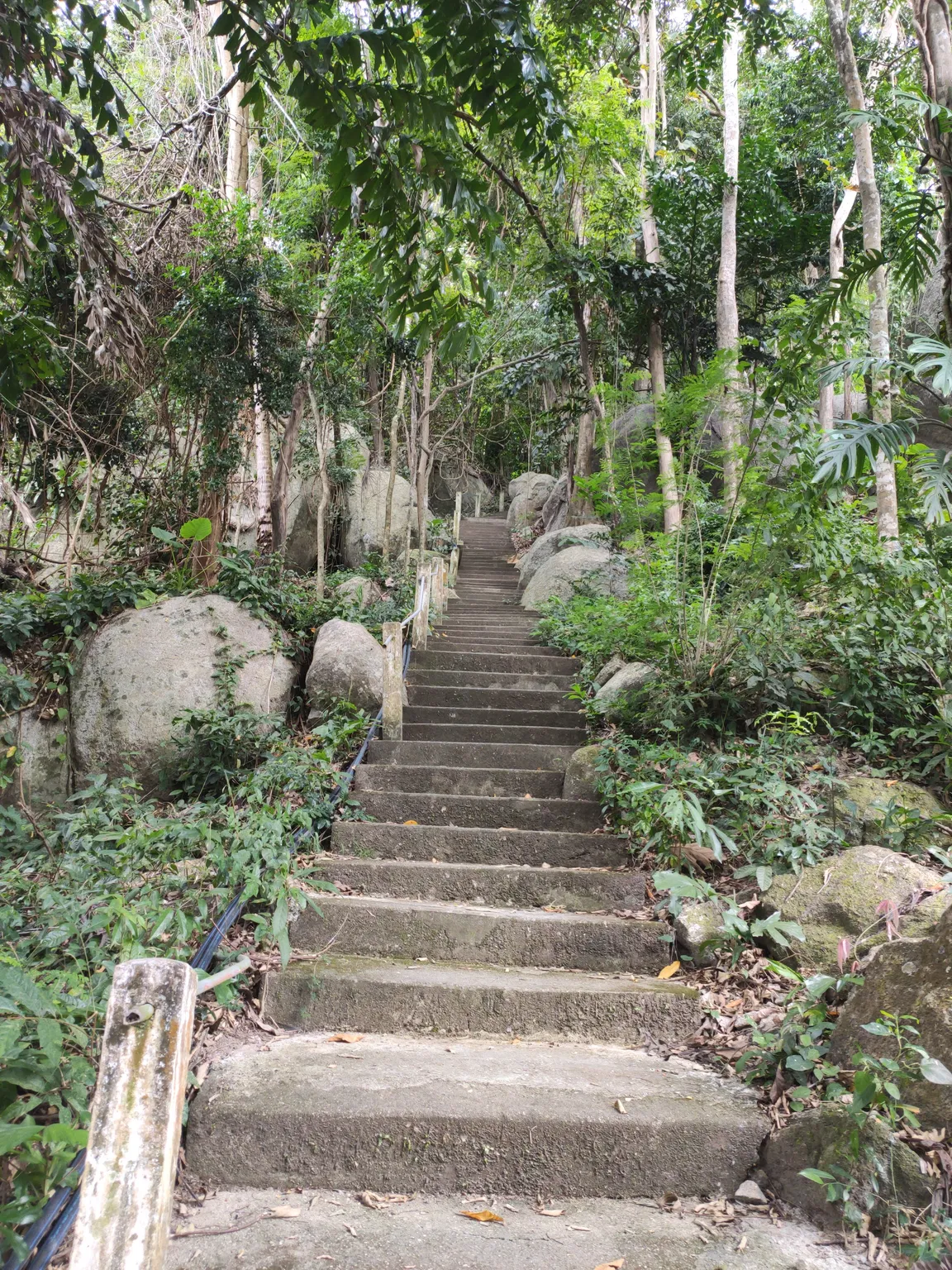 Buddha's Footprint