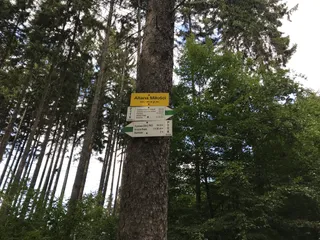 Altana Miłości
