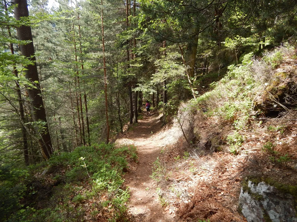 source des corbeaux