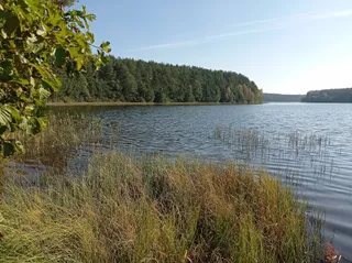 Kamienne Kręgi - Węsiory