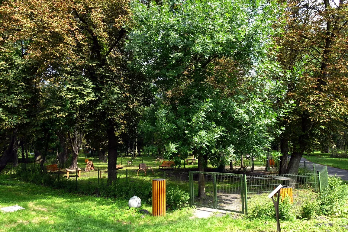 Wybieg dla psów - Park Ludowy