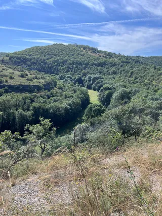 L'Alzou