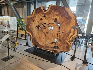 Centrum Nauki Kopernik