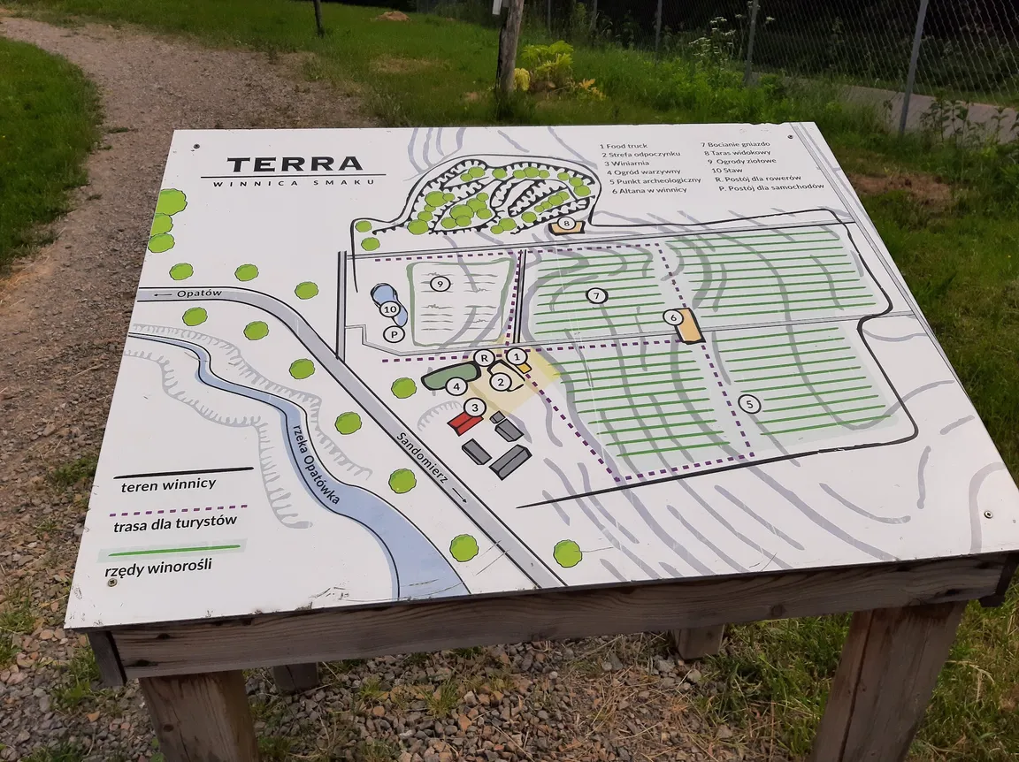 Winnica TERRA