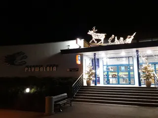 Pływalnia Miejska "Wodnik 2000"