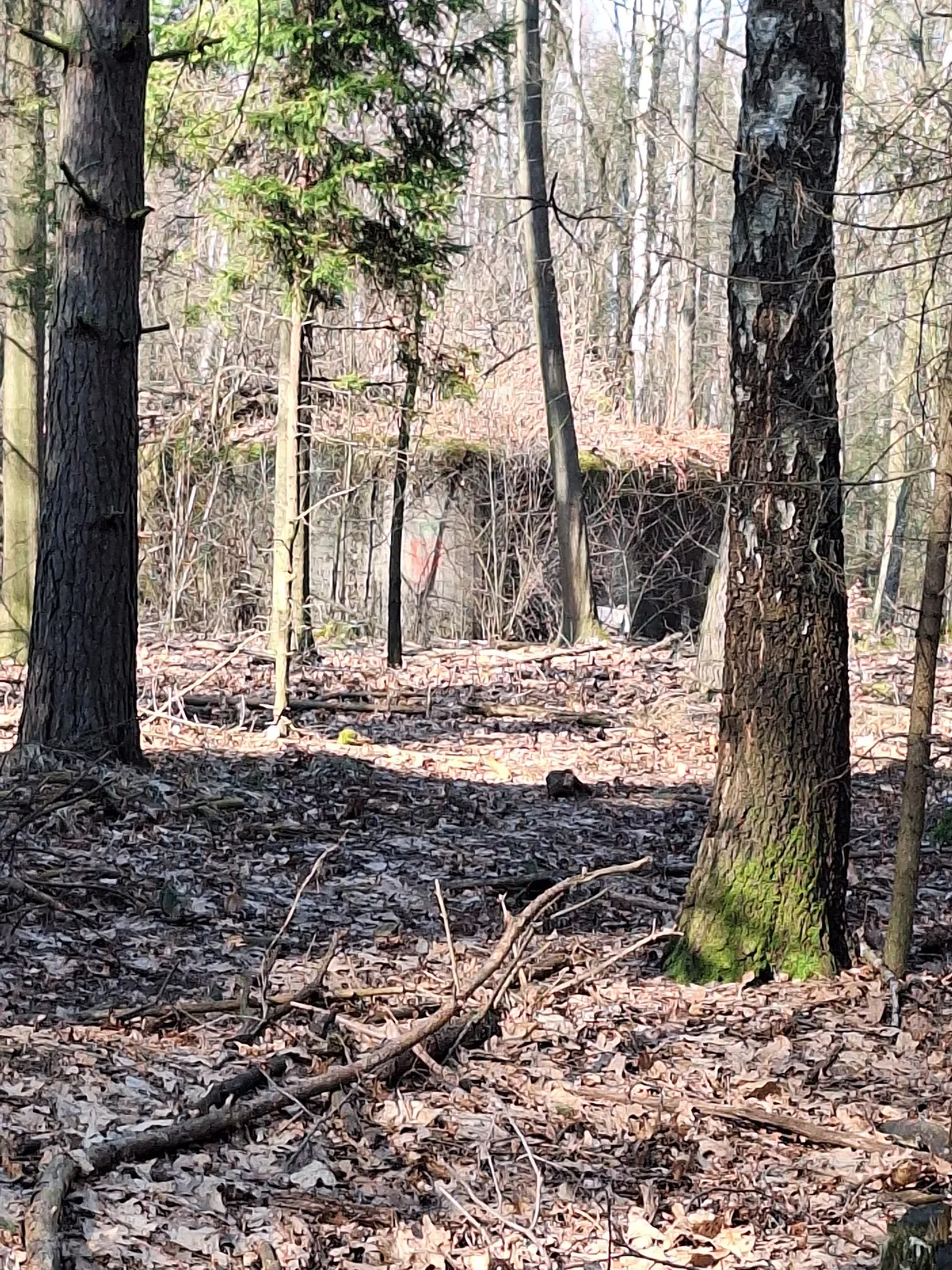 Schron bojowy nr 44, Obszar Warowny Śląsk Schron Diabła