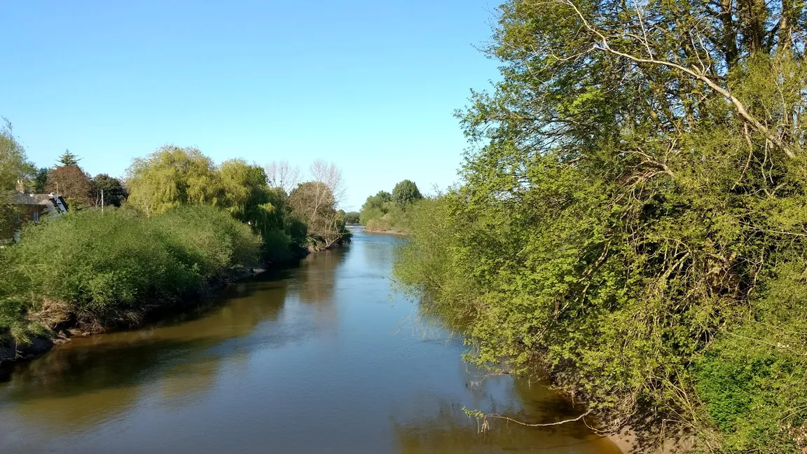 Alney Island Nature Reserve