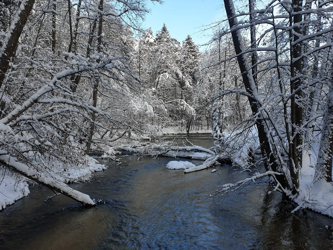 Spływy kajakowe na Tanwi Kajaki Susiec