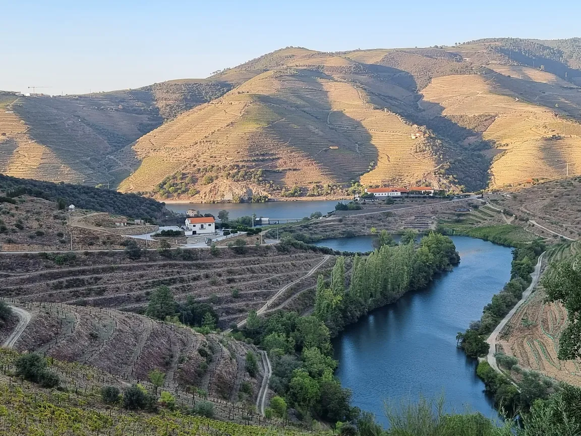 Quinta de Nápoles (Niepoort wines)