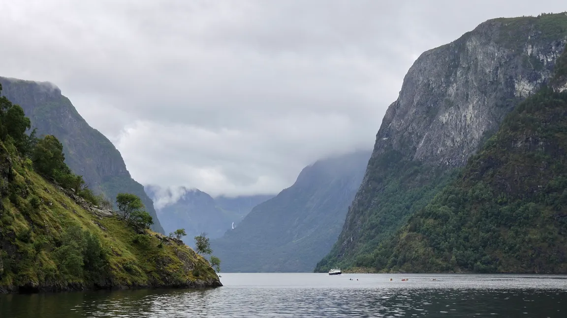Vestnorsk fjordlandskap