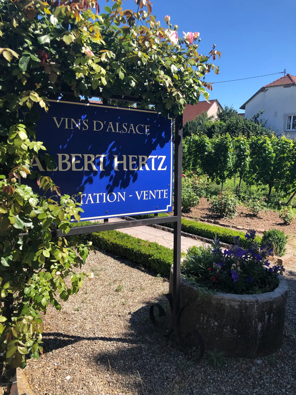 Albert HERTZ Wines