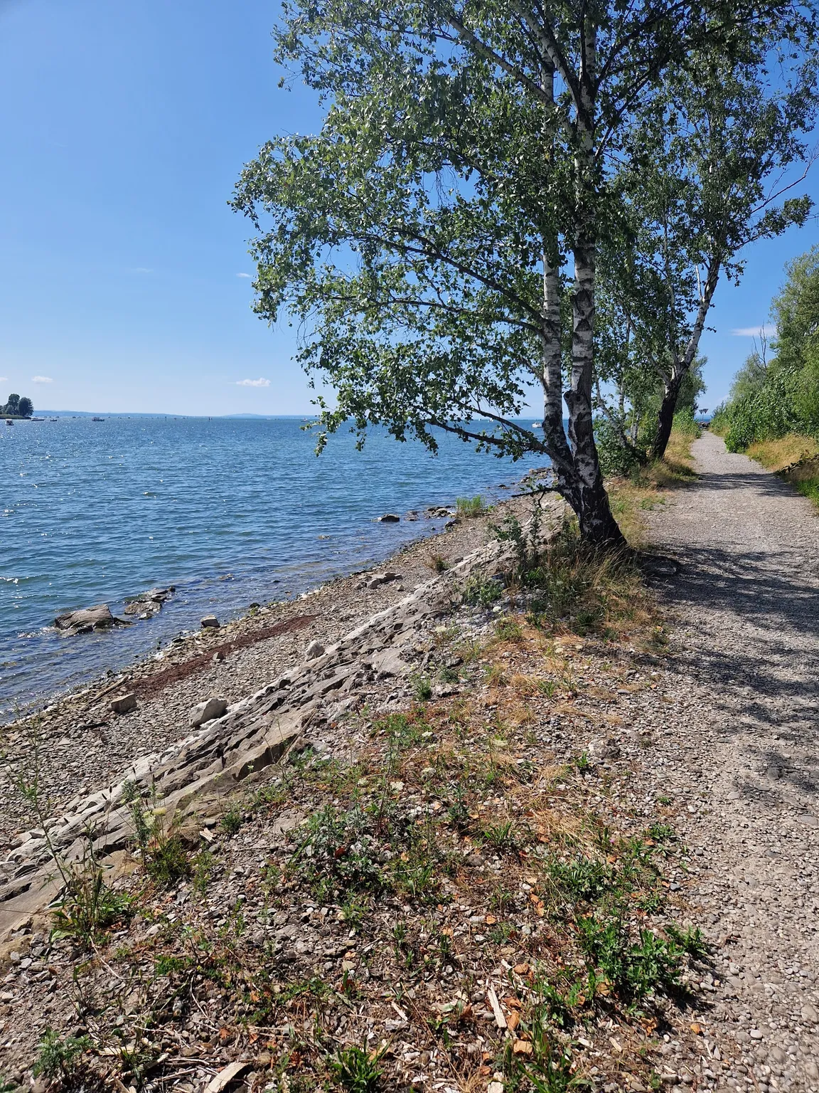 Lagunen-Rundwanderung Rheindelta - Bodensee