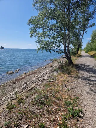 Lagunen-Rundwanderung Rheindelta - Bodensee