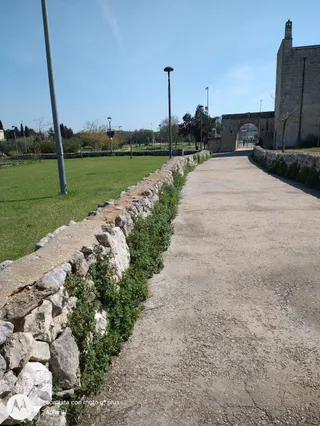 Parco di Belloluogo