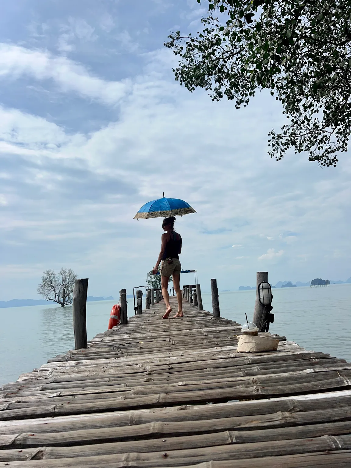 New bamboo bridge