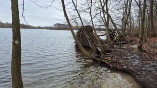Ziegelsee, Schelfwerder