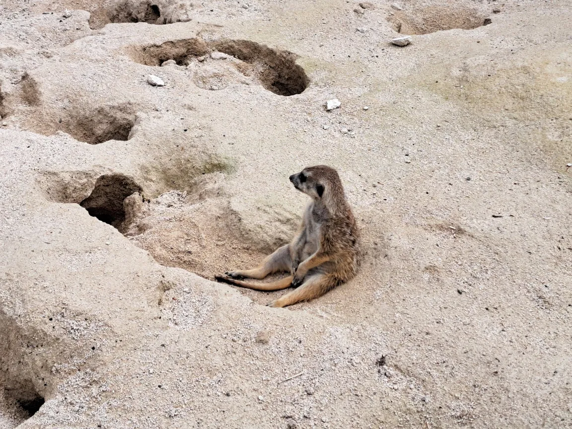 ZOO Siky Ranch, Christophe Keller