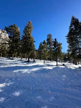 Mount Charleston