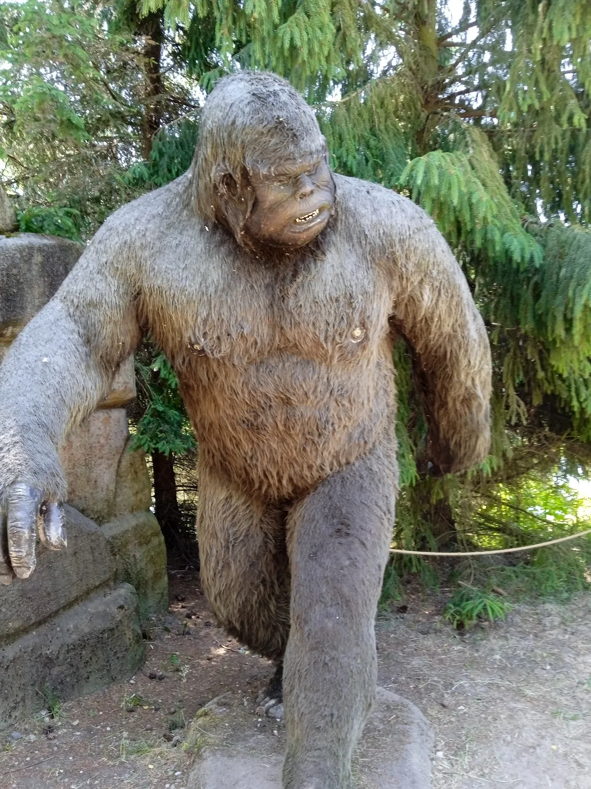 Rodzinny Park Rozrywki Nowa Holandia