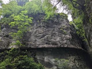 Pokljuka gorge