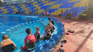 Excursions!!!!!!@Adam Sharm tour's_NabqBay
