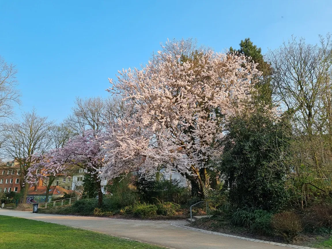 Südpark