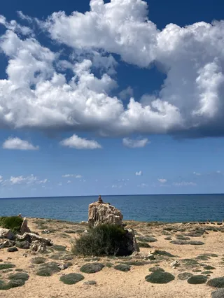 Lizard Rock