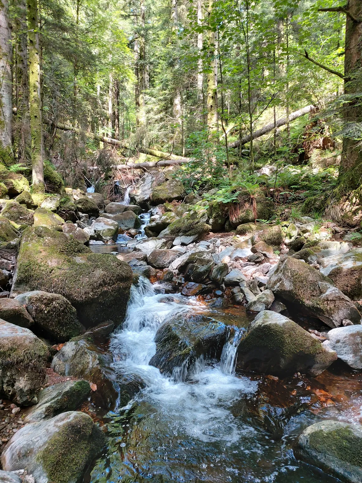 Zweitaelersteig
