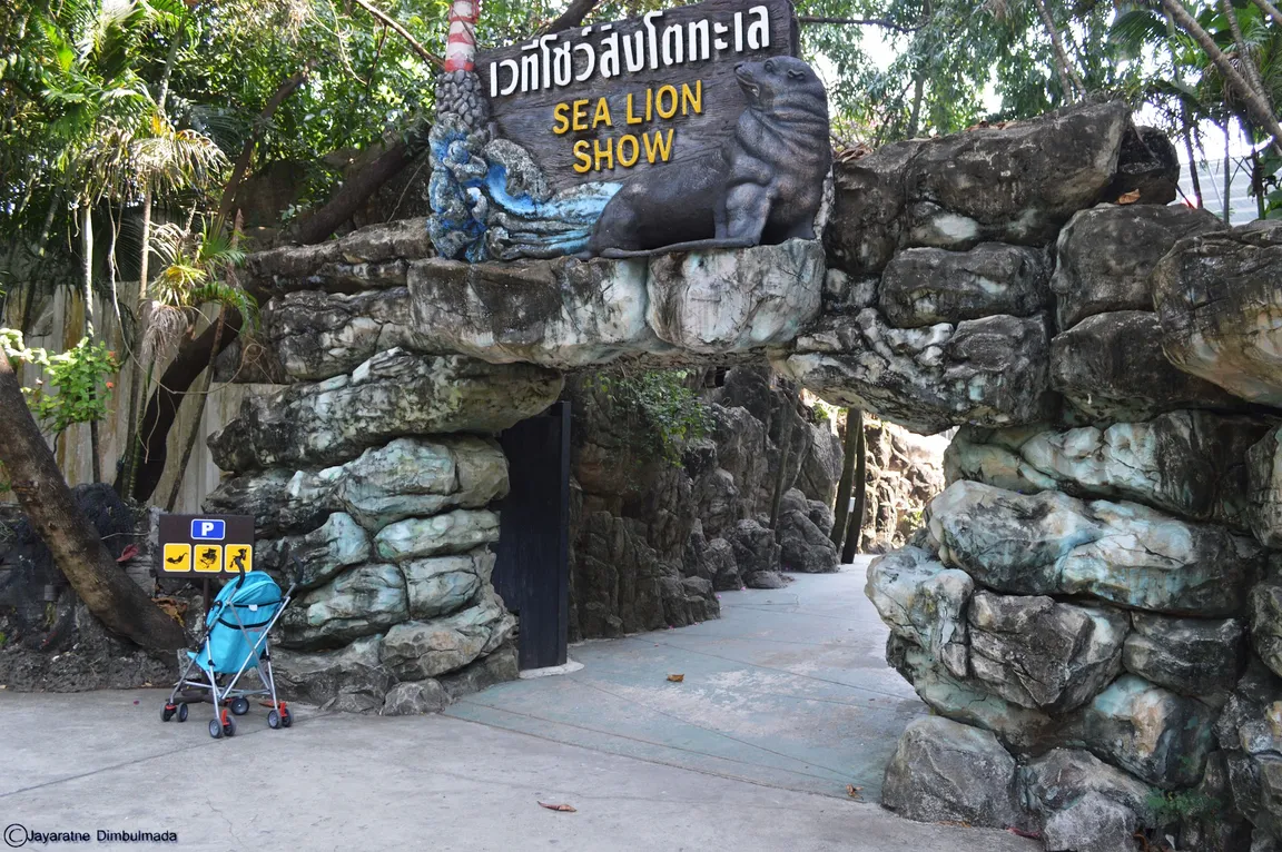 Sea Lion Show