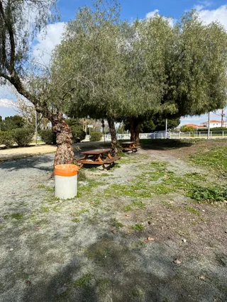 Outdoor Gym