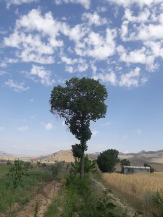 آموزشگاه نقاشی آفاق