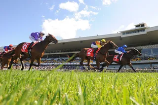 Rosehill Gardens Racecourse