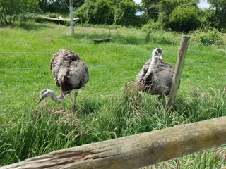 Hobbledown Adventure Farm Park and Zoo