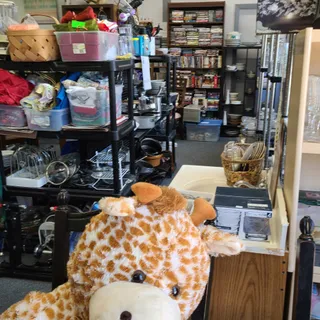 P.A.W.S. Thrift Shop