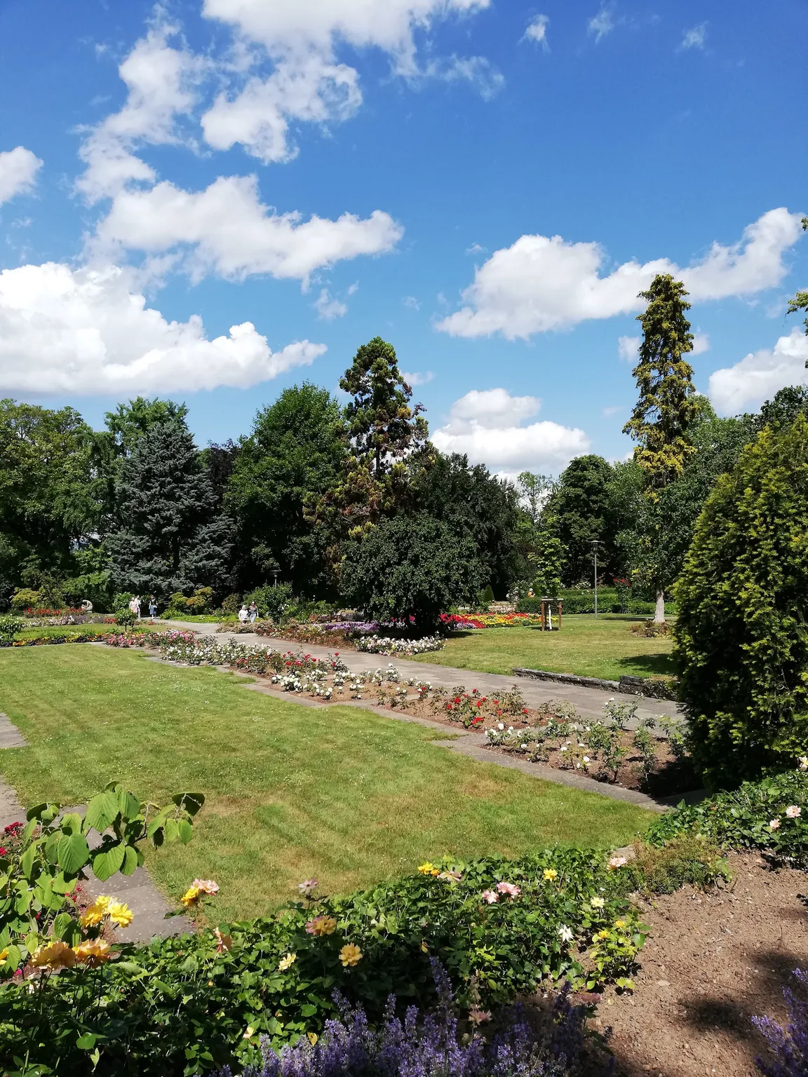 Rosengarten