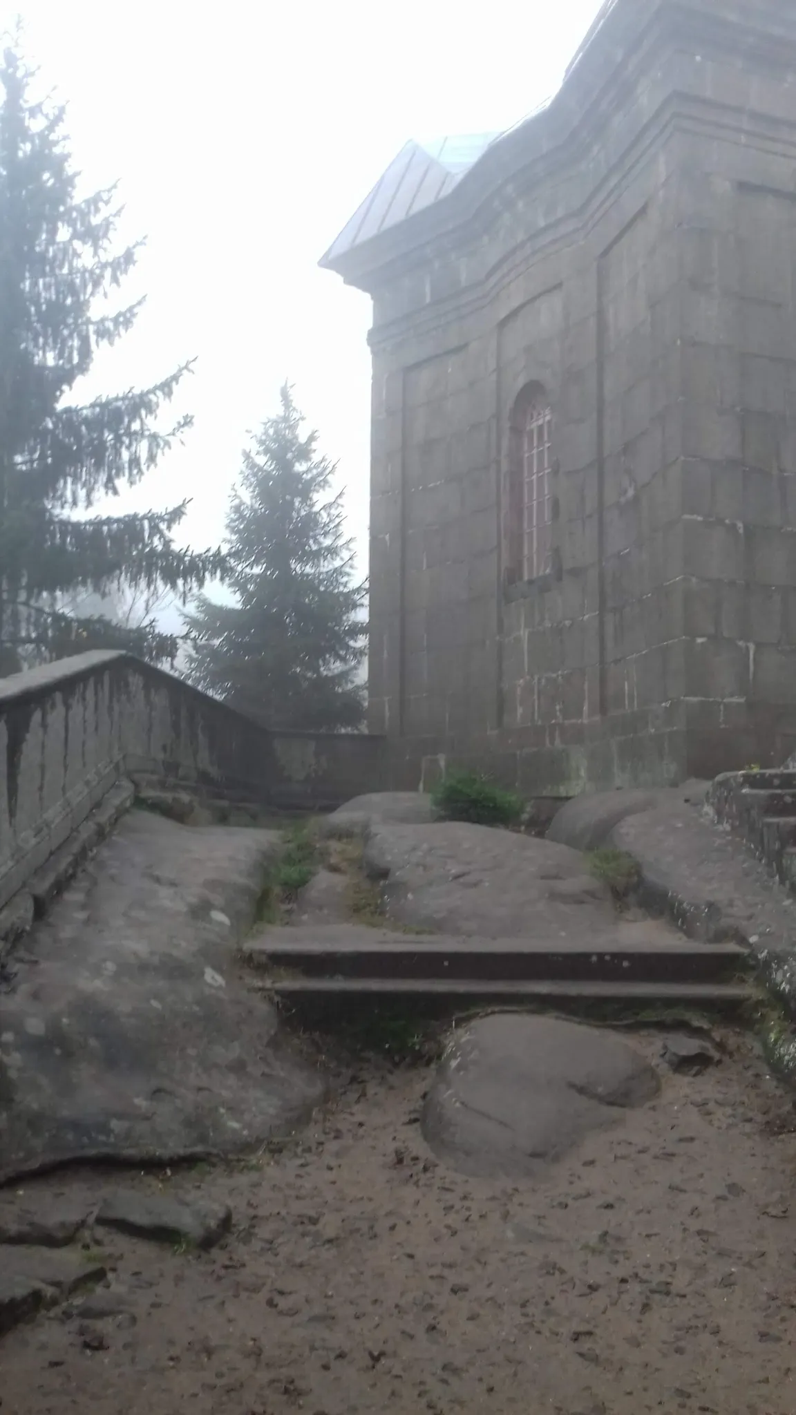 Kočka