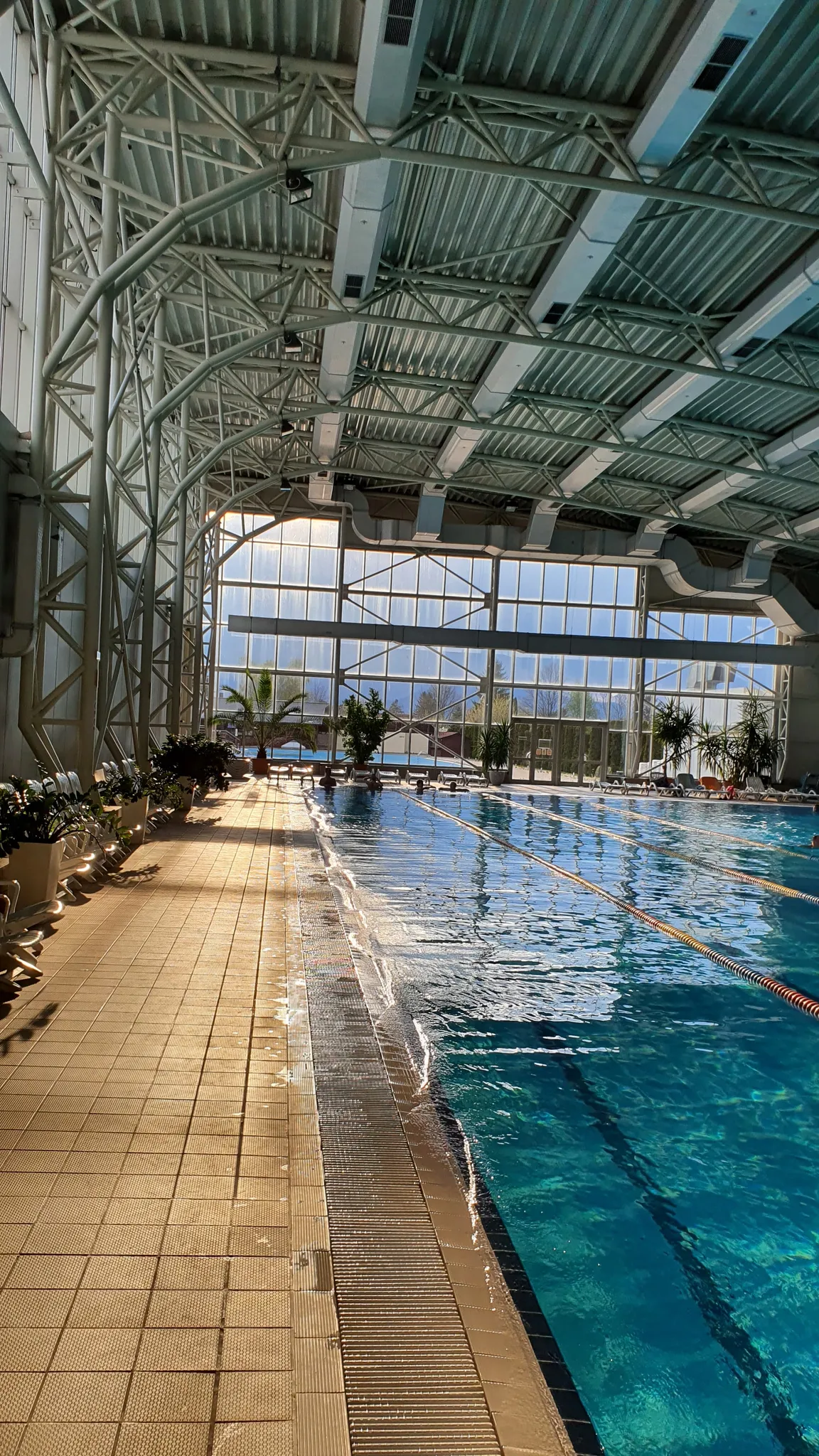 Aquatic Paradise