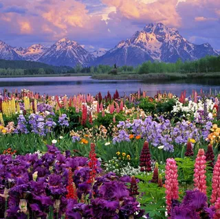 Park Narodowy Grand Teton