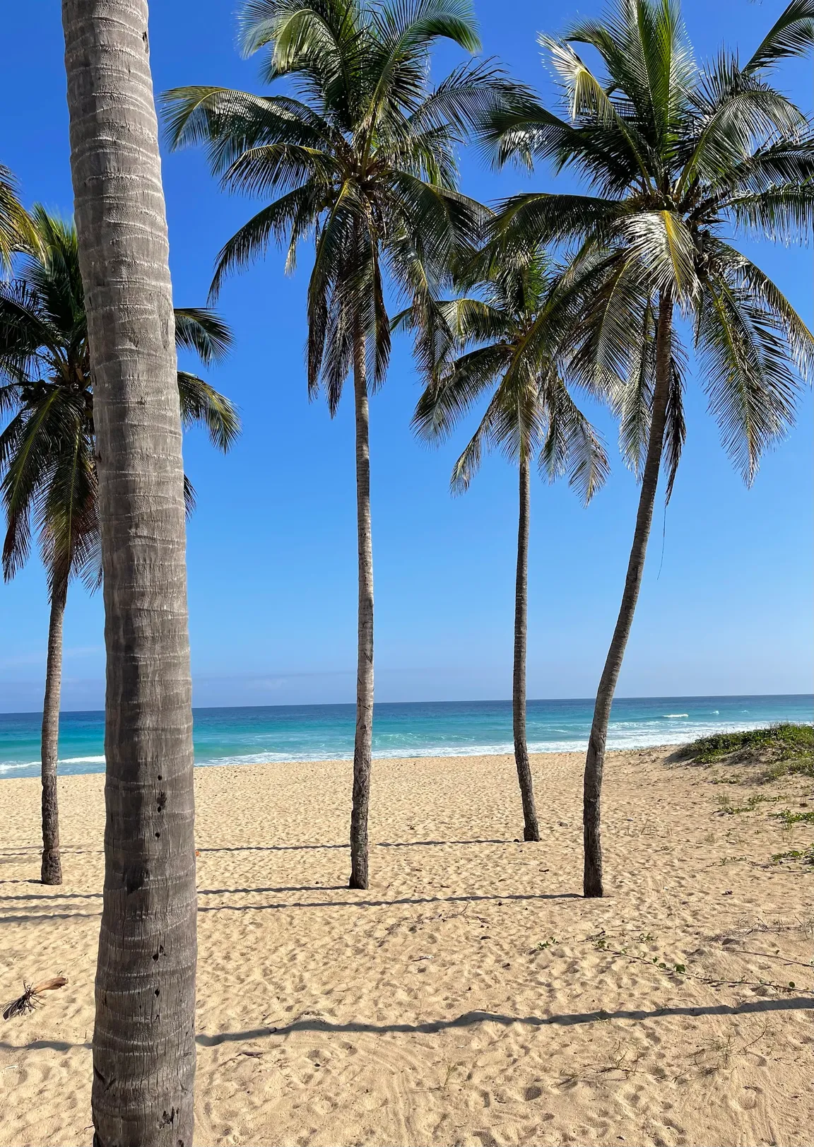Playas del Este