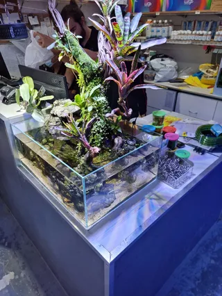 Aquaristic