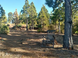 Area recreativa El Fayal
