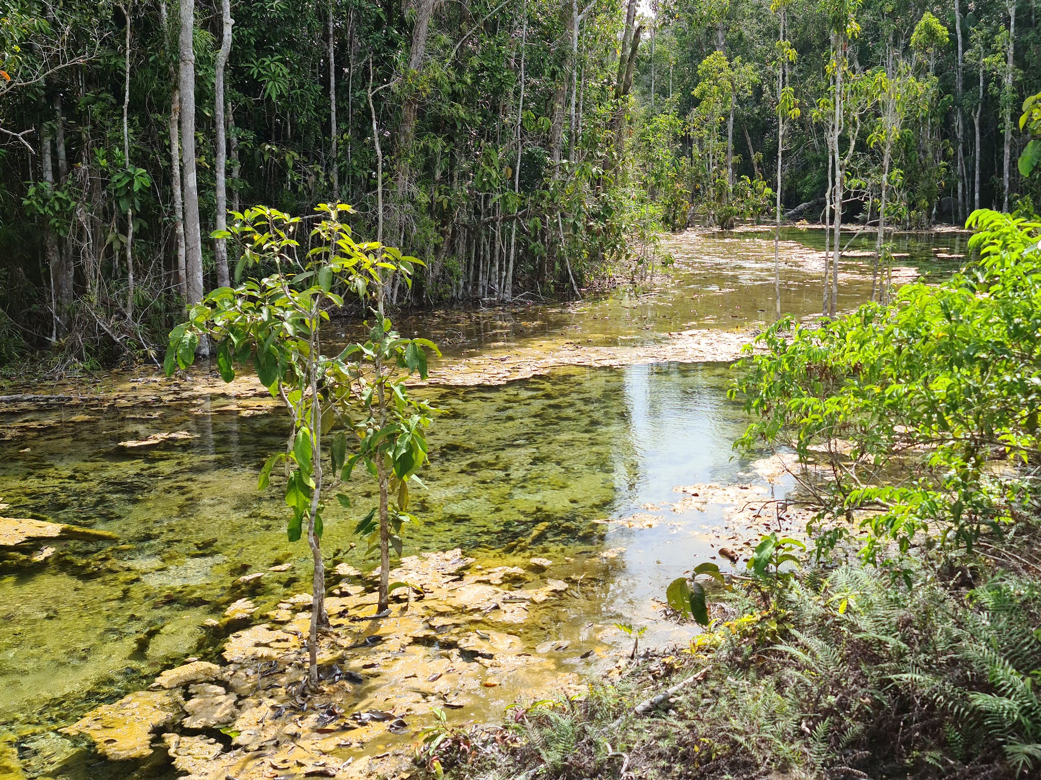 Emerald Pool | Hopsa