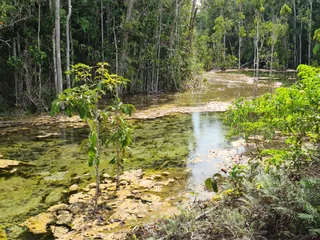 Emerald Pool