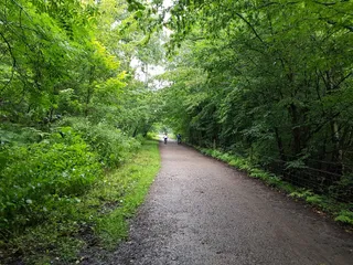Forest of Dean Cycle Centre